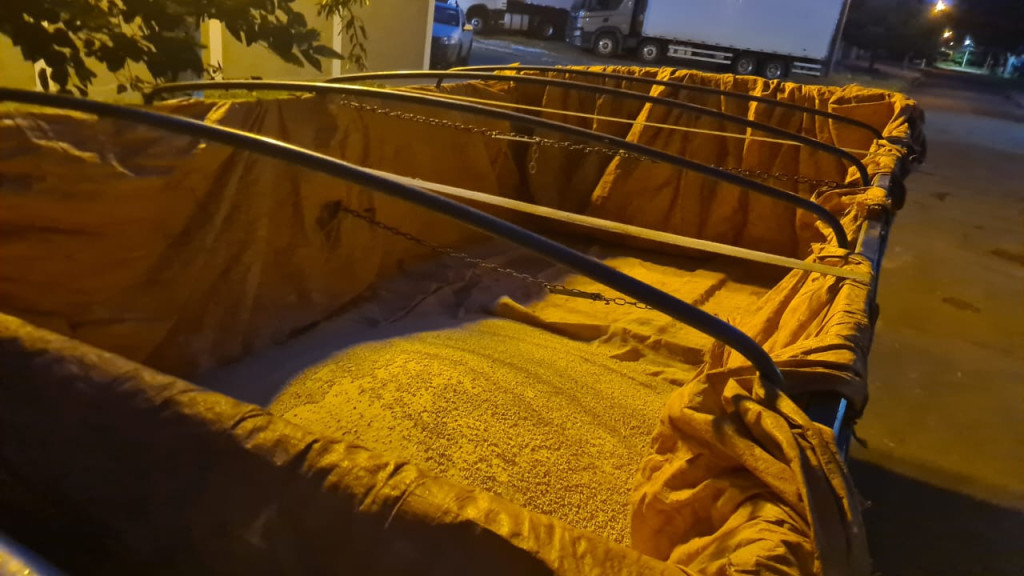 Furto de ração é flagrado pela Guarda Municipal em Dourados