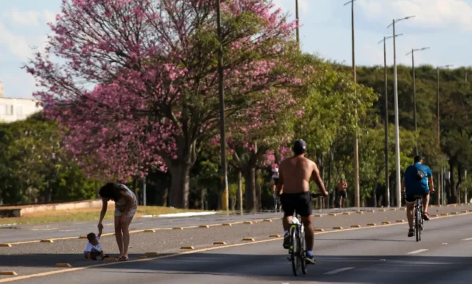 Dois terços dos brasileiros moram em ruas arborizadas; Dourados é a 5ª cidade