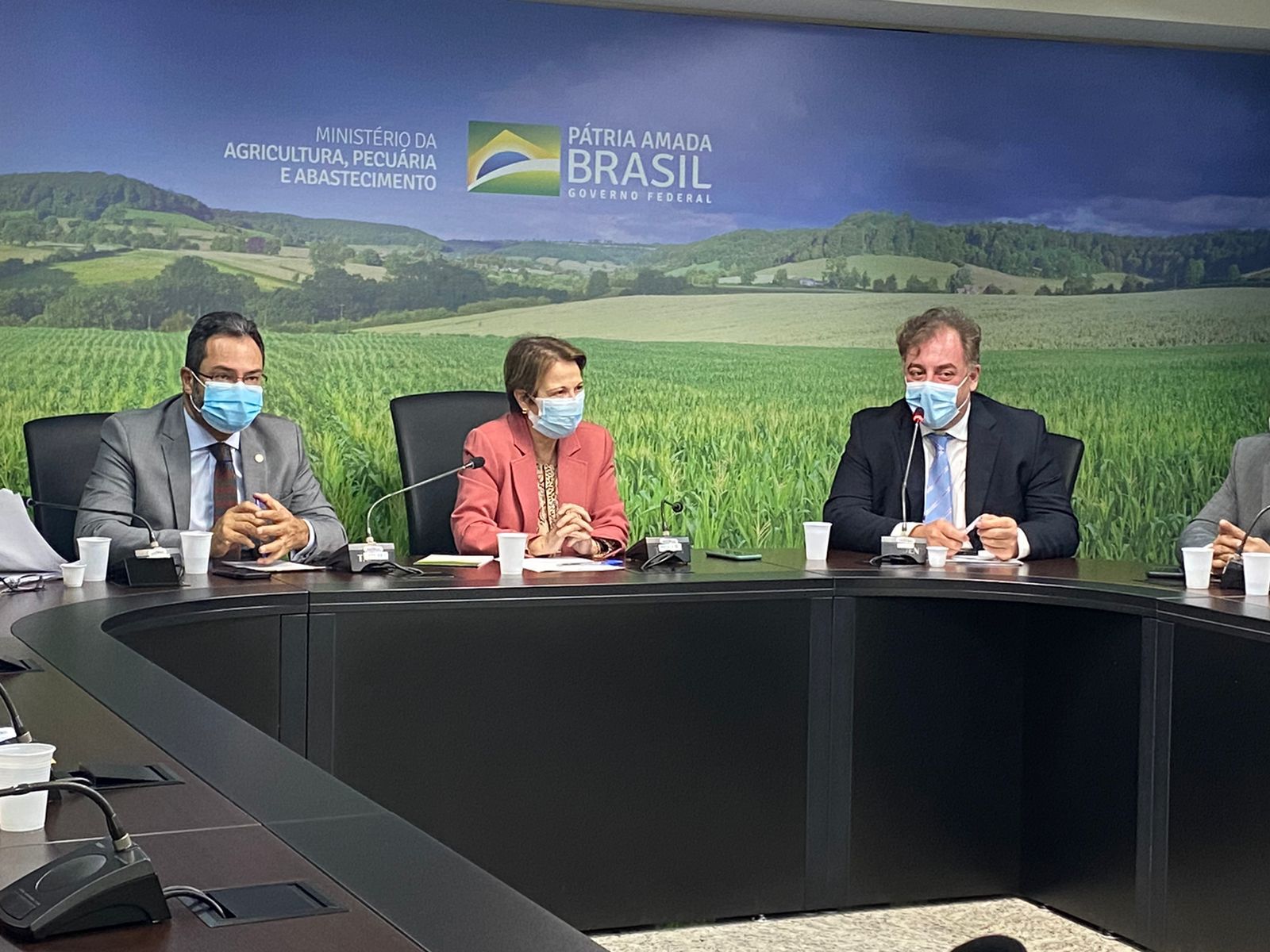 Agricultura Familiar: Neno Razuk solicita compra de maquinário para Aparecida do Taboado