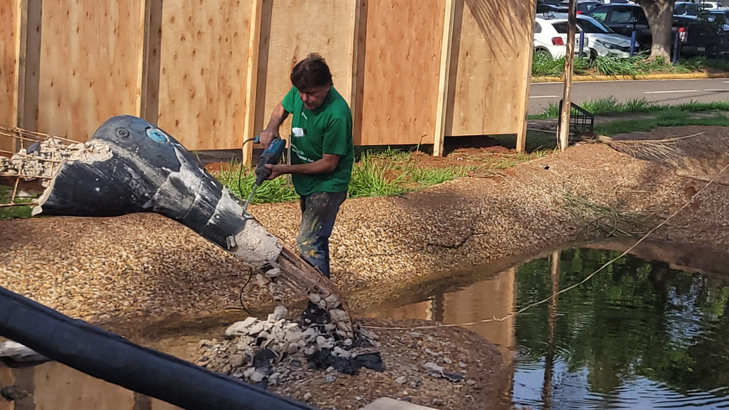 Inspiração no Pantanal fez Cleir criar ‘Tuiuiús do Aeroporto’, monumento que passa por restauração